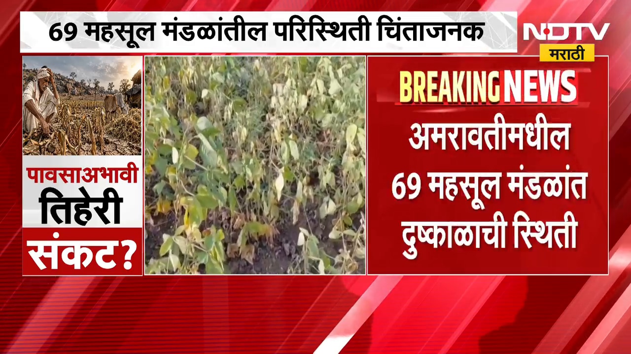 Amravati Drought | अमरावती जिल्ह्यावर दुष्काळाचं सावट, 69 महसूल मंडळांतील परिस्थिती चिंताजनक