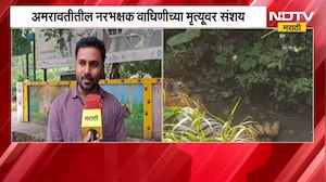 Amravati News | अमरावतीतील 'त्या' वाघिणीचा मृत्यू, वनविभागाच्या रेस्क्यू टीमला संवेदना नसल्याचा आरोप