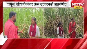 Beed Drought | बीड जिल्ह्यावर कोरड्या दुष्काळाचं सावट, पाण्याअभावी ऊस उत्पादक शेतकरी संकटात