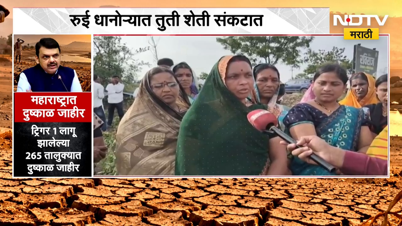 Beed| रुई धानोऱ्यात तुती शेती संकटात, लाडक्या बहिणींची Sunetra Pawar यांच्याकडे मदतीची हाक | NDTV