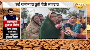 Beed| रुई धानोऱ्यात तुती शेती संकटात, लाडक्या बहिणींची Sunetra Pawar यांच्याकडे मदतीची हाक | NDTV