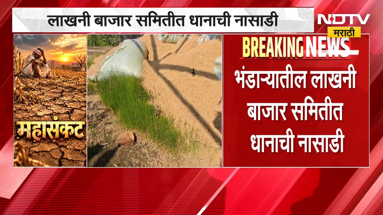 Bhandara | लाखनी बाजार समितीत धानाची नासाडी, साठवणुकीबाबत निष्काळजीपणा झाल्याचा आरोप | NDTV