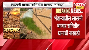 Bhandara | लाखनी बाजार समितीत धानाची नासाडी, साठवणुकीबाबत निष्काळजीपणा झाल्याचा आरोप | NDTV