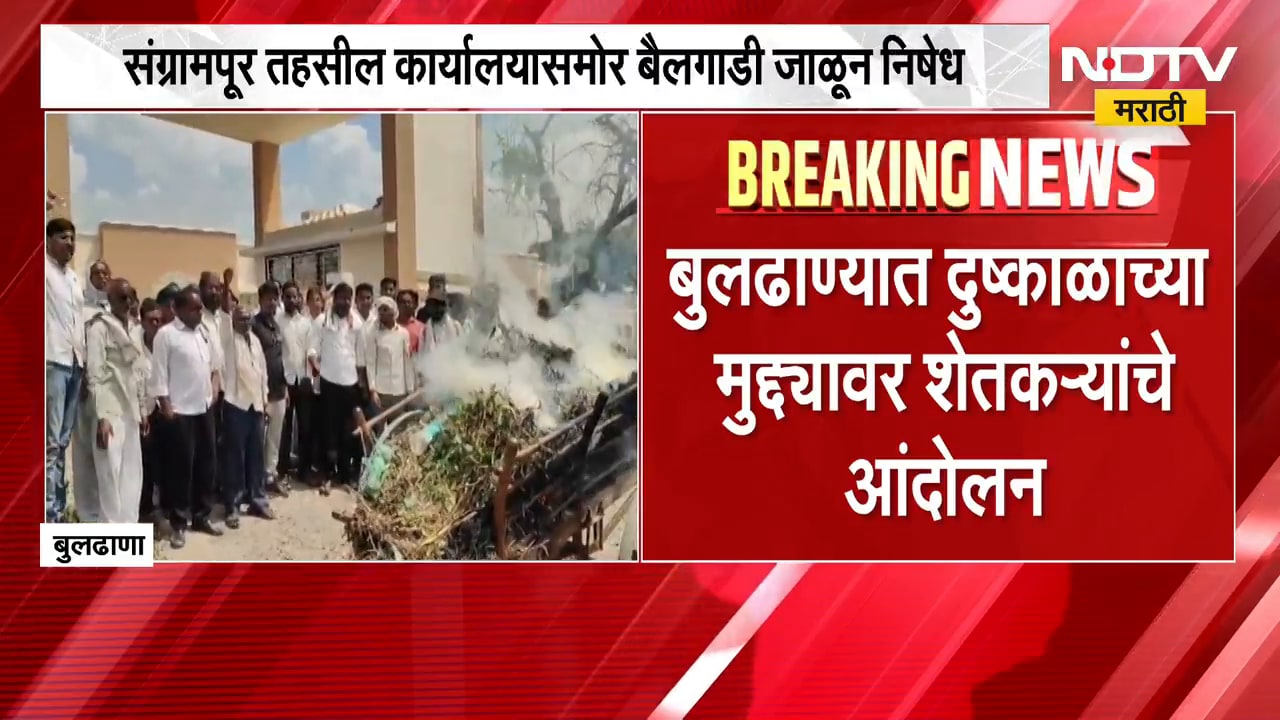 Buldhana| दुष्काळाच्या मुद्द्यावर शेतकऱ्यांचं तहसील कार्यालयासमोर बैलगाडी, सोयाबीन जाळून निषेध