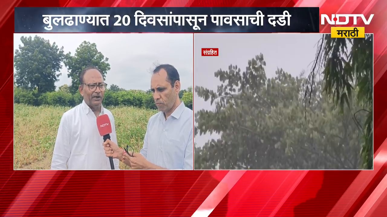 Buldhana Rain | बुलढाण्यात 20 दिवसांपासून पावसाची दडी, शेतकऱ्यांच्या व्यथा काय? | NDTV Marathi