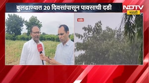 Buldhana Rain | बुलढाण्यात 20 दिवसांपासून पावसाची दडी, शेतकऱ्यांच्या व्यथा काय? | NDTV Marathi