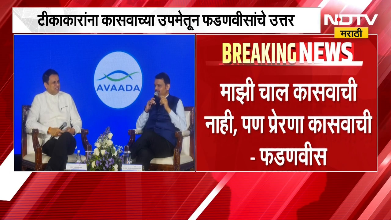 माझी चाल कासवाची नाही, पण प्रेरणा कासवाची, टीकाकारांना कासवाच्या उपमेतून CM  प्रत्युत्तर