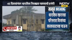 Dharashiv Rain| 45 दिवसांनंतर धाराशिवमध्ये पावसाची हजेरी, रब्बी हंगामासाठी शेतकऱ्यांच्या आशा पल्लवित