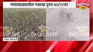 काय भीषण अवस्था आहे पाहा, ऐन पावसाळ्यात जमीन भेगाळली, जलप्रकल्प कोरडेठाक | Maharashtra Drought