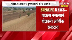 Unsatisfactory rainfall for 50 days। । 50 दिवसांपासून असमाधानकारक पाऊस, मराठवाडयात दुष्काळाचं सावट