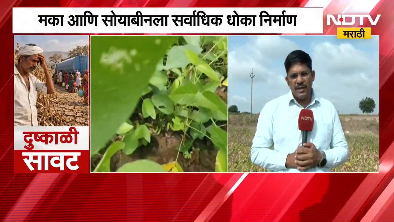 Marathwada Drought| मराठवाड्यावर 14 वर्षांनंतर दुष्काळाचे सावट, पाणीसाठे राखीव ठेवण्याचे आदेश | NDTV