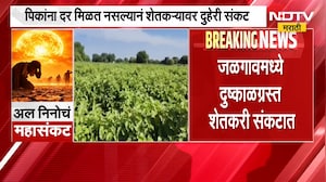 Jalgaon | El Ni&ntilde;o Crisis | अल निनोचं महासंकट, दर नसल्याने वांगी पिकावर फिरवला रोटावेटर | NDTV