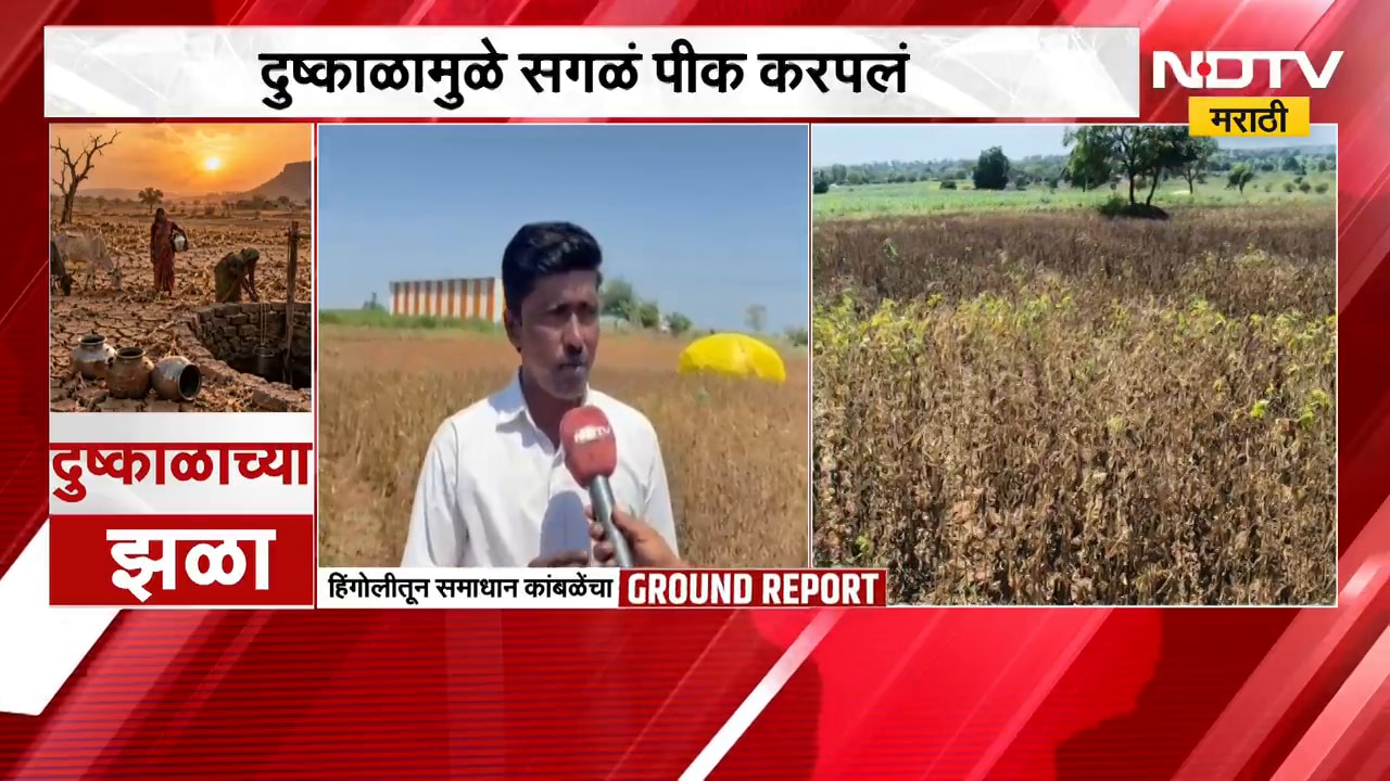 Hingoli | दुष्काळामुळे पीक करपलं, अद्याप मदत नाही; NDTV मराठीचा हिंगोलीतून Ground Report