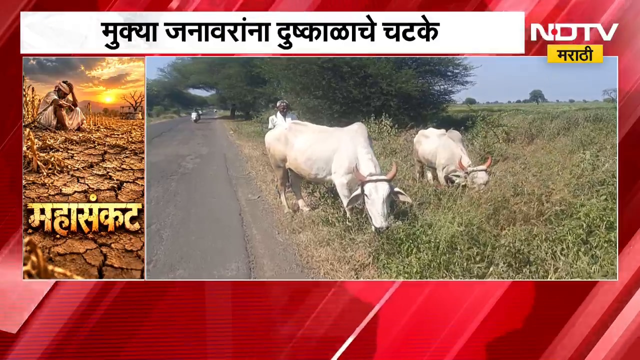 Latur Water Scarcity | भर पावसाळ्यात ग्रामीण भागात पाणीटंचाई, पाण्यासाठी महिलांच्या तासनतास रांगा