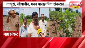 Jalgaon Rai| जळगावात दीड महिन्यापासून पावसाची दडी; मका, सोयाबीन, कापसाचं प्रचंड नुकसान