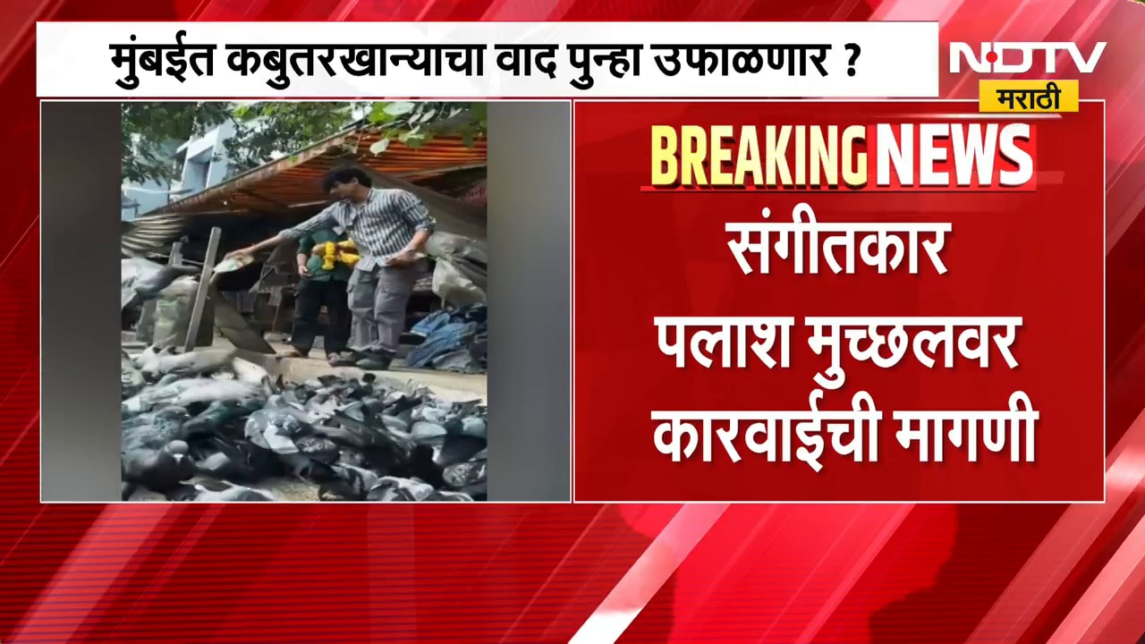 मुंबईत कबुतरखान्याचा वाद पुन्हा उफाळणार?,Palash Muchhalच्या कबुतरांना दाणे भरवतानाच्या पोस्टवरुन वाद