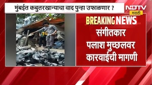 मुंबईत कबुतरखान्याचा वाद पुन्हा उफाळणार?,Palash Muchhalच्या कबुतरांना दाणे भरवतानाच्या पोस्टवरुन वाद