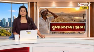 Maharashtra Drought | दुष्काळाचं भीषण वास्तव, कर्नाटकातून सांगोल्यात जनावरे विक्रीला आणण्याची वेळ