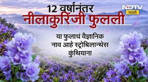 Nature in Munnar | केरळमच्या मुन्नारमध्ये निसर्गाची अद्भूत किमया | NDTV Marathi