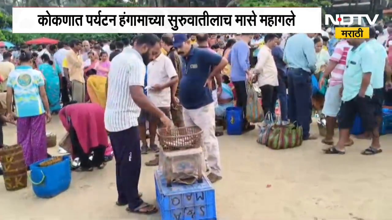 Fish Prices | गणपती विसर्जनानंतर आता मालवणच्या दांडी किनाऱ्यावर मासे खरेदीची गर्दी, मासे महागले