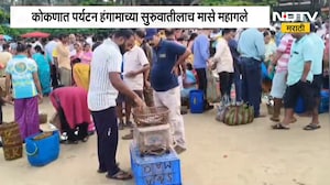 Fish Prices | गणपती विसर्जनानंतर आता मालवणच्या दांडी किनाऱ्यावर मासे खरेदीची गर्दी, मासे महागले