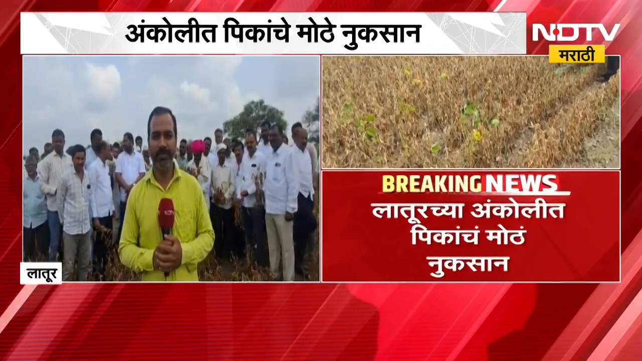 Latur Farners News | लातुरात पिकांचं मोठं नुकसान, शेती नुकसानीचे पंचनामे न झाल्याने शेतकरी आक्रमक