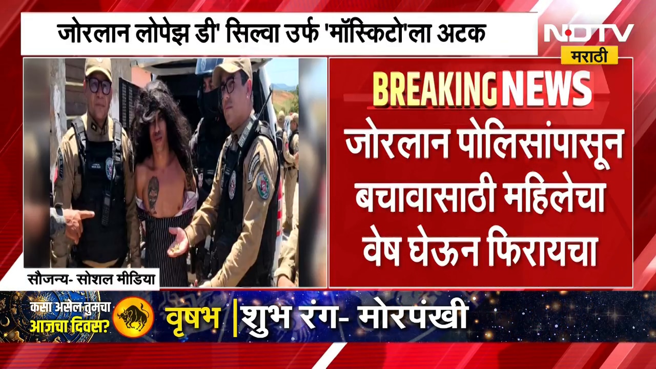 Serial killer mosquito arrested | सिरीयल किलर डास अटकेत, 16 जणांचा खून करणाऱ्या डासाला पकडले