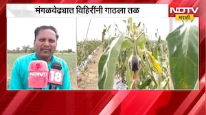 Solapur च्या मंगळवेढा तालुक्यात पावसाविना खरिपाची पिकं धोक्यात ।  NDTV मराठी