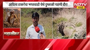 Chhatrapati Sambhajinagarच्या गंगापूरमध्ये Aaditya Thackeray यांचा दुष्काळी पाहणी दौरा |NDTV Marathi