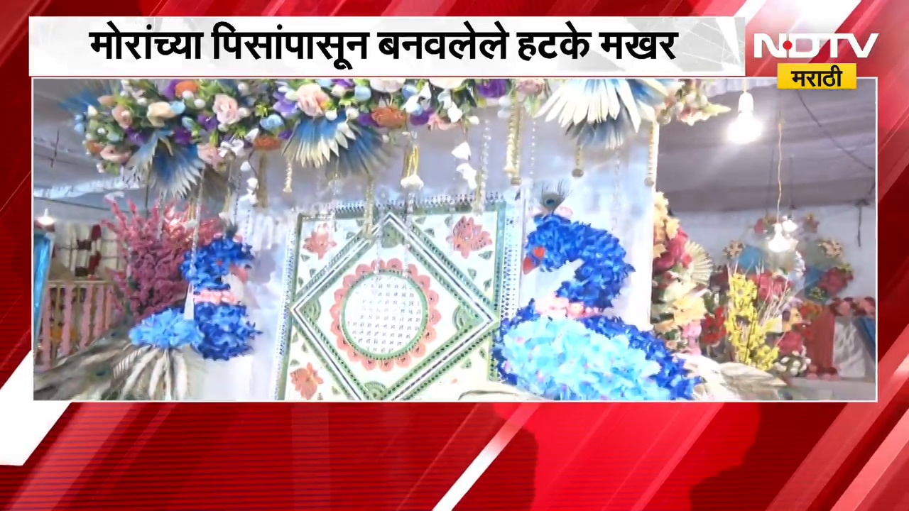 Nashik Ganeshotsav | नाशिकमध्ये मोराच्या पिसांपासून बनवलेले हटके मखर, किंमत ऐकून थक्क व्हाल | NDTV