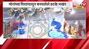 Nashik Ganeshotsav | नाशिकमध्ये मोराच्या पिसांपासून बनवलेले हटके मखर, किंमत ऐकून थक्क व्हाल | NDTV