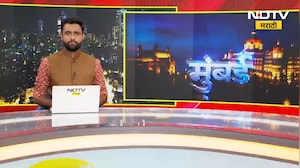 कबुतरांना दाणे भरवतानाच्या पोस्टवरून वाद, संगीतकार Palash Muchhal वर कारवाईची मागणी