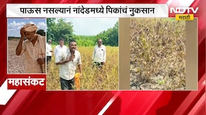 Nanded Farmers | पाऊस नसल्याने सोयाबीन पिकाचं नुकसान, नांदेडमधील शेतकऱ्याने मांडल्या व्यथा | NDTV
