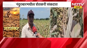 Nandurbar जिल्हा दुष्काळग्रस्त जाहीर मात्र लाभ कधी ?, नंदुरबारमधील शेतकरी संकटात | NDTV Marathi