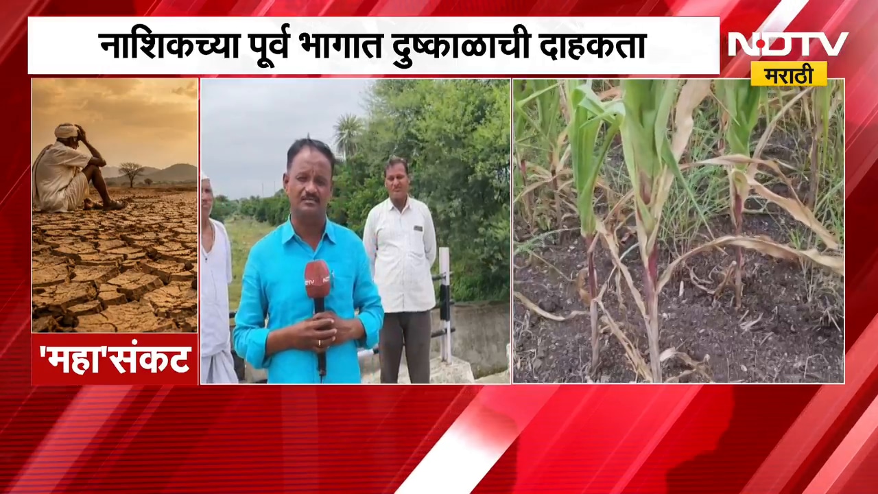 Nashik Drought | नदी-नाले कोरडे, पिकं करपली; नाशिकच्या पूर्व भागात दुष्काळाची दाहकता | NDTV Marathi
