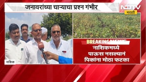 Nashik|पिकांचं नुकसान, बळीराजा संकटात; जनावरांच्या चाऱ्याचा प्रश्न गंभीर, शेतकऱ्यांशी संवाद