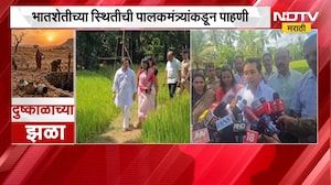 Nitesh Rane | पालकमंत्री नितेश राणे शेतीच्या बांधावर, भातशेतीच्या स्थितीची पाहणी | NDTV Marathi