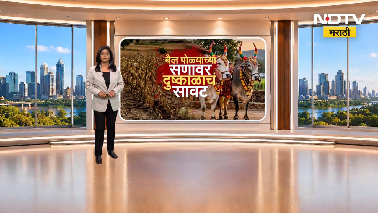 Parbhani मध्ये 45 दिवसांपासून पावसाची दडी, शेतकऱ्यांना सरसकट आर्थिक मदत द्या- बोर्डीकर |NDTV Marathi