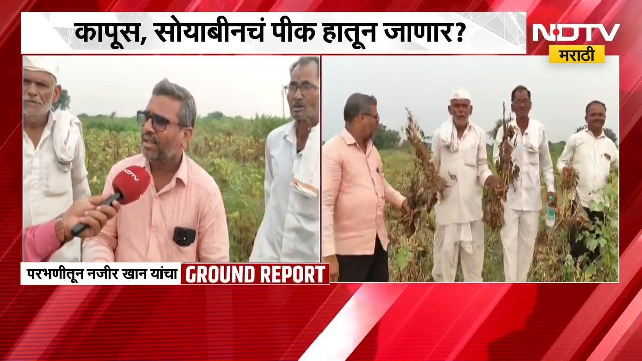 Parbhani No Rain | कापूस, सोयाबीनचं पीक हातून जाणार? परभणीतील शेतकऱ्यांनी मांडल्या व्यथा | NDTV