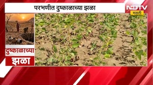 Parbhani Drought | परभणीत दुष्काळाच्या झळा, शेतकरी आर्थिक मदतीच्या प्रतीक्षेत | NDTV Marathi