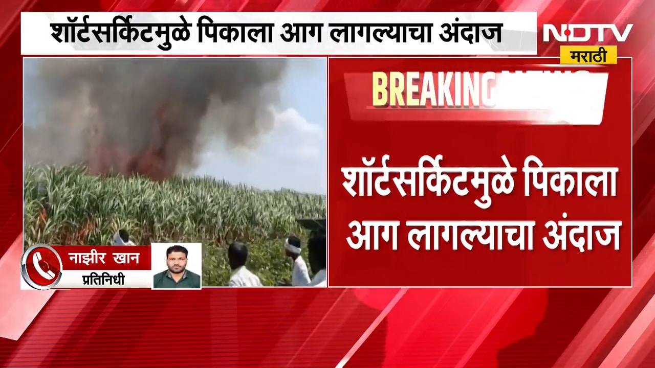 Parbhani| कात्नेश्वरमध्ये साडेतीन एकर ऊस जळाला, शॉर्टसर्किटमुळे पिकाला आग लागल्याचा अंदाज
