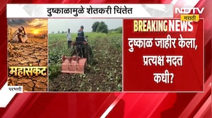 Maharashtra Drought | दुष्काळामुळे शेतकरी चिंतेत, मागच्या वर्षीच्या पीकविम्याचे पैसेही मिळेना