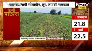Drought News| Washim| पावसाअभावी सोयाबीन, तूर, कपाशी संकटात; याचसंदर्भात शेतकऱ्यांसोबत साधलेला संवाद