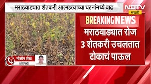 Maharashtra Drought | आर्थिक संकटामुळे बळीराजा अडचणीत, रोज 3 शेतकरी उचलतायत टोकाचं पाऊल | NDTV