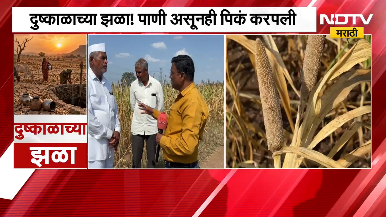Ahilyanagar च्या कोपरगावात शेतकऱ्यांवर तिहेरी संकट, पाणी असून पिकं करपली