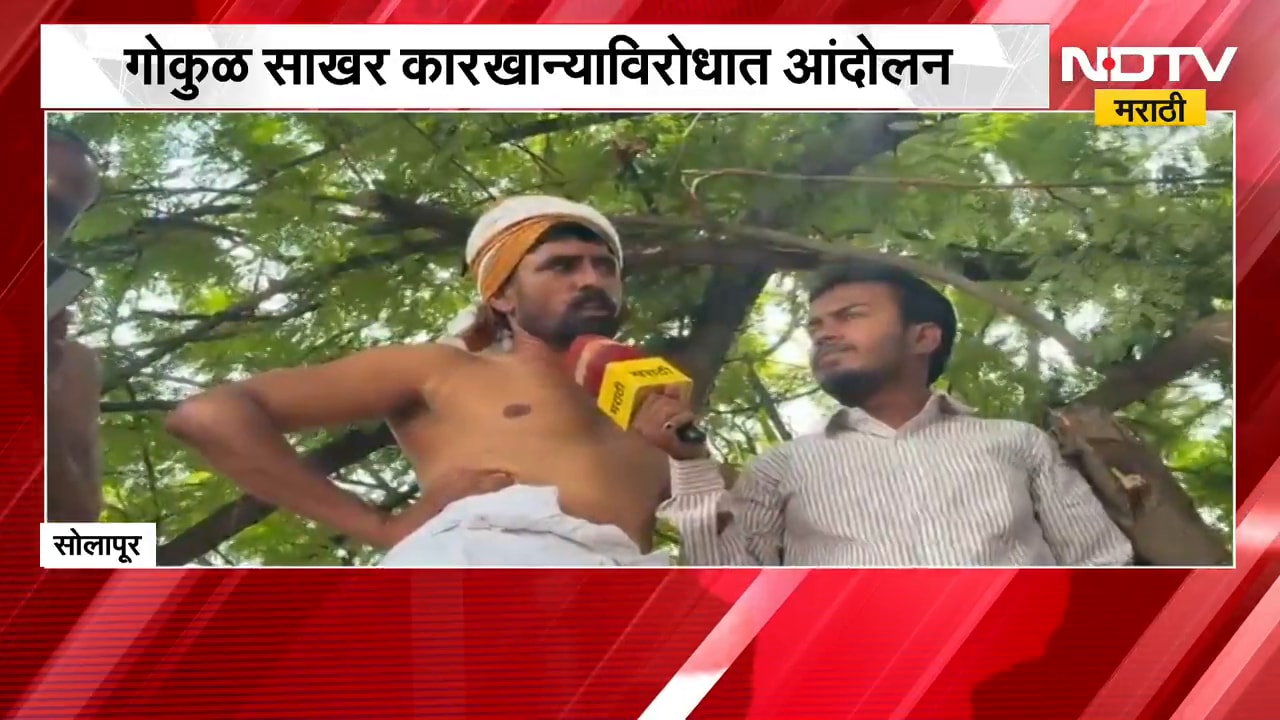 Solapur | गोकुळ साखर कारखान्याविरोधात शेतकरी आक्रमक, झाडावर चढून आंदोलन