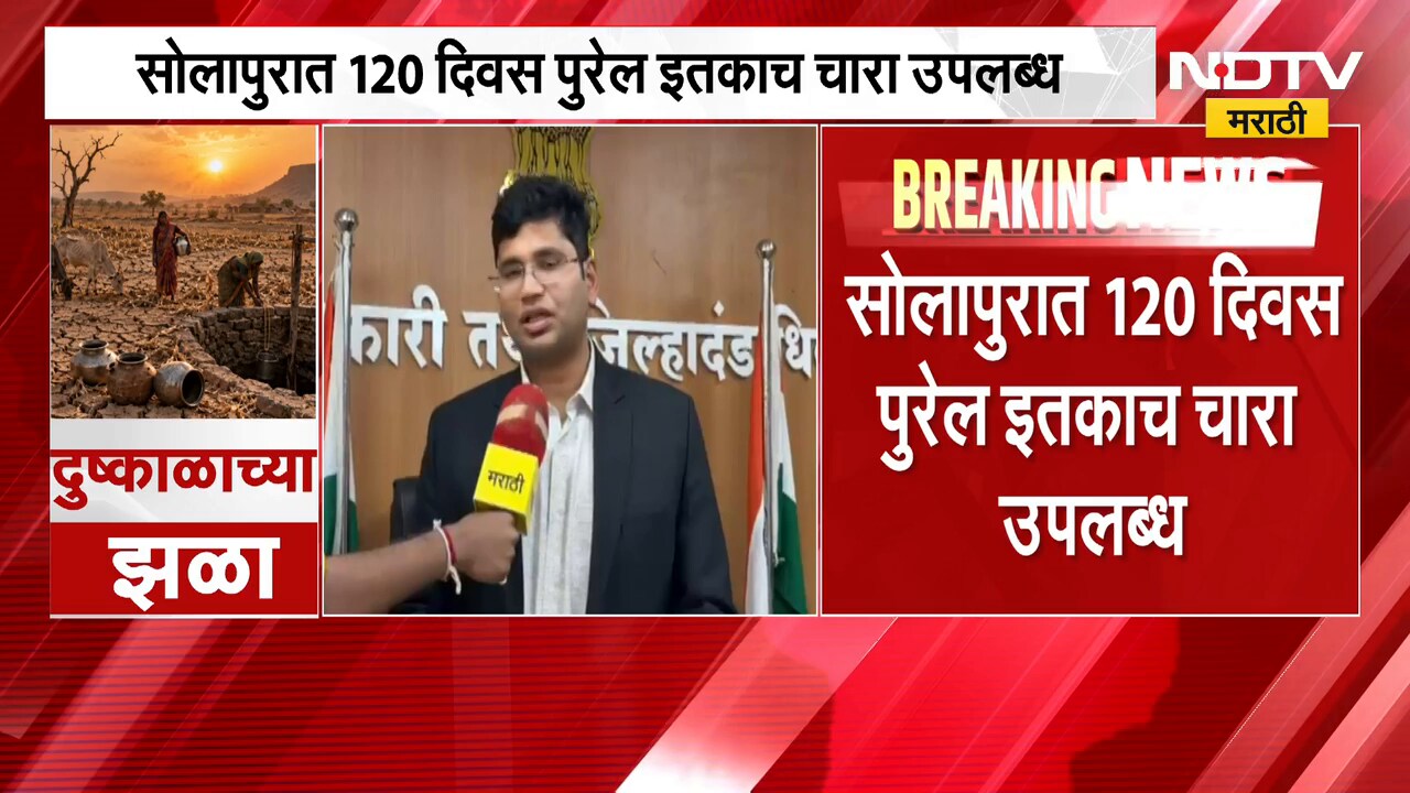 सोलापुरात 120 दिवस पुरेल इतकाच चारा उपलब्ध, Solapur जिल्हा प्रशासनानं घेतला मोठा निर्णय
