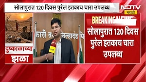 सोलापुरात 120 दिवस पुरेल इतकाच चारा उपलब्ध, Solapur जिल्हा प्रशासनानं घेतला मोठा निर्णय
