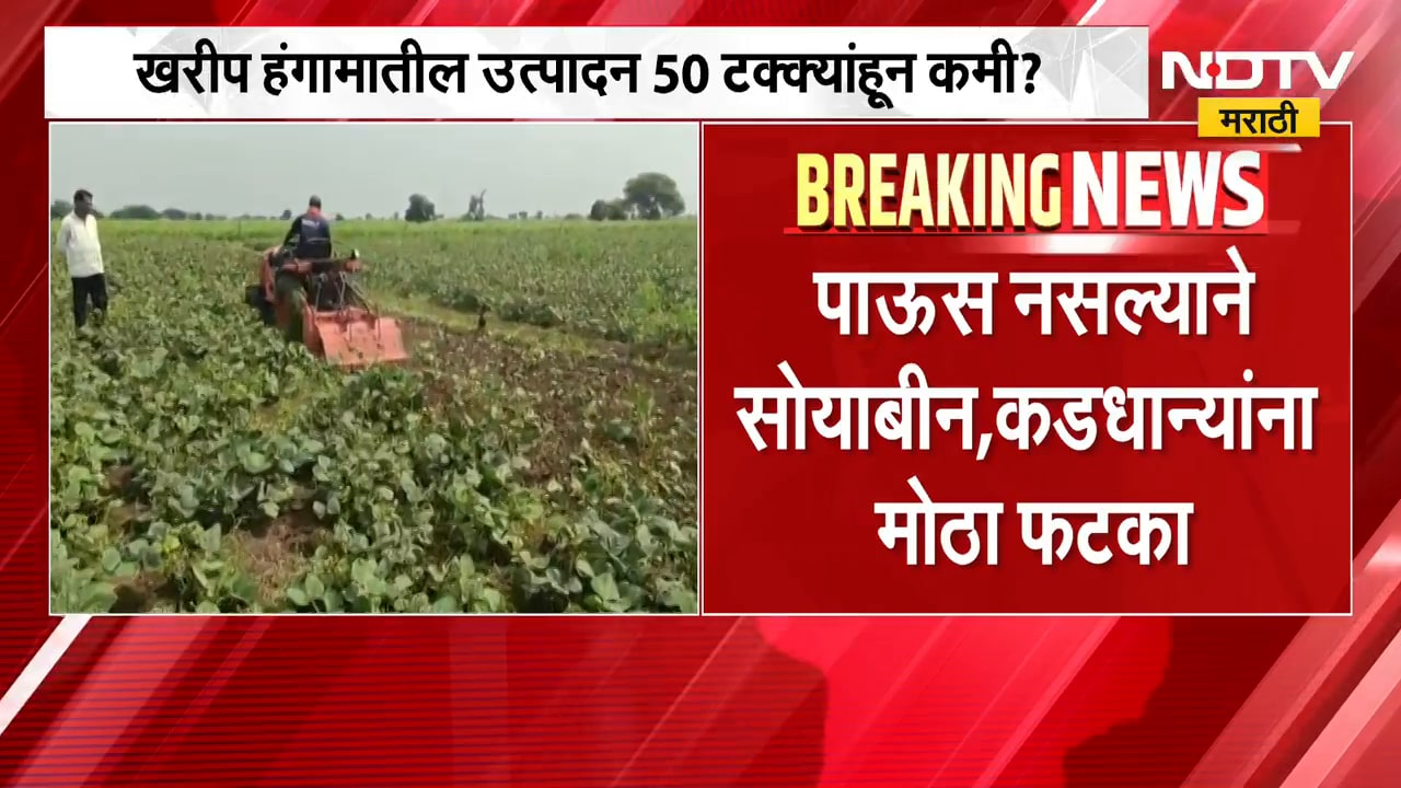 Rain News | खरीप हंगामातील उत्पादन 50 टक्क्यांहून कमी? परतीच्या पावसाचा तूर कापसाला मिळणार दिलासा?