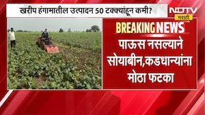 Rain News | खरीप हंगामातील उत्पादन 50 टक्क्यांहून कमी? परतीच्या पावसाचा तूर कापसाला मिळणार दिलासा?